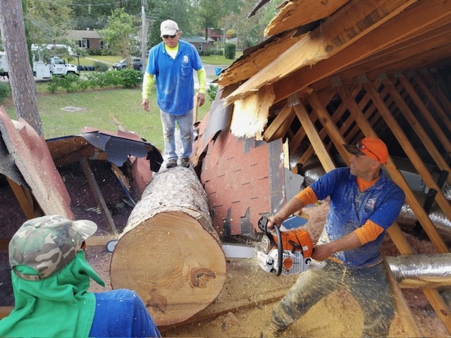 Filing a tree damage insurance claim after a storm