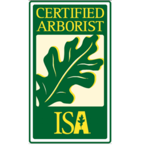 Certified Arborist - ISA