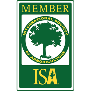 ISA Member Logo