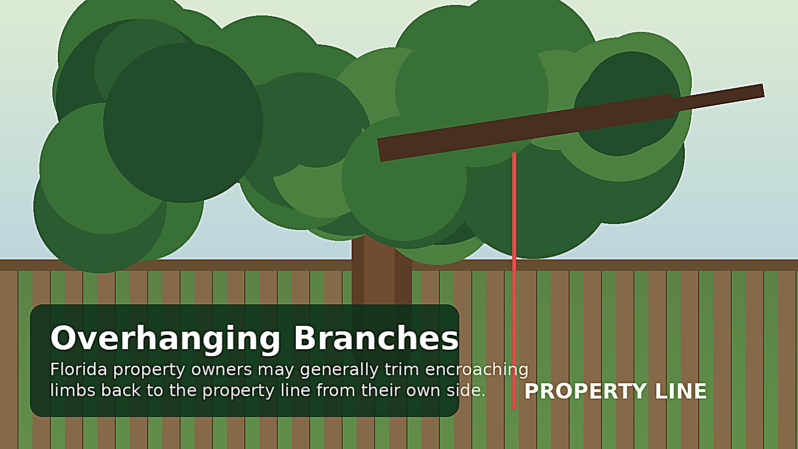 Florida Boundary Tree and Florida Tree Law Assistance 2 Florida Boundary Tree and Florida Tree Law Assistance Overhanging tree branches near property line